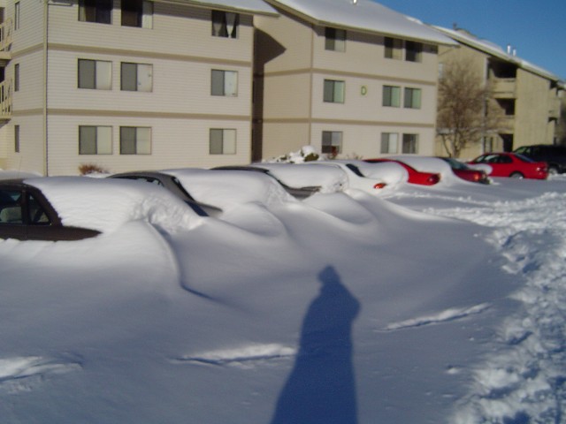 Fort Collins snow picture